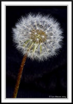 PC-_J3W4872CC framed.jpg