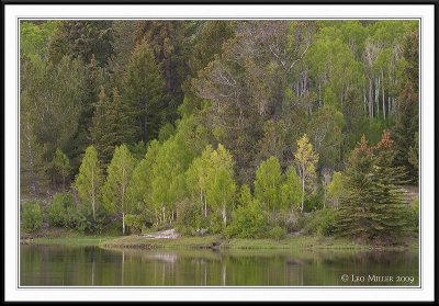 PC-_MG_8923CC framed.jpg
