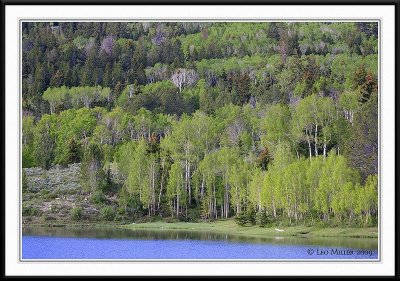 PC-_MG_8929CC framed.jpg