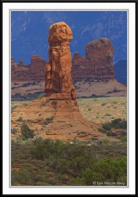 PC-_MG_9166CC framed.jpg