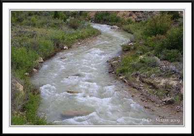 PC-_J3W7962 CC framed.jpg