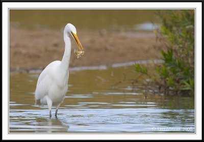 PC-_J3W7730CC framed.jpg