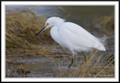 PC-_J3W7444CC framed.jpg