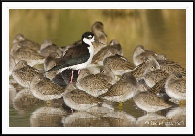 PC-_J3W7488CC framed.jpg
