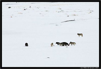 PC-IMG_1141C.jpg