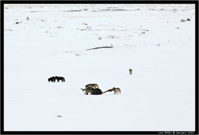 PC-IMG_1142C.jpg