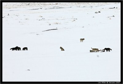 PC-IMG_1145C.jpg