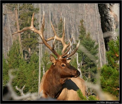 PC-IMG_5448c.jpg