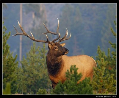 PC-A2DF1052 8x10.jpg
