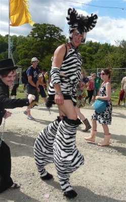 Our Zebra Friend From Glastonbury
