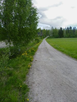 Swedish summerroad