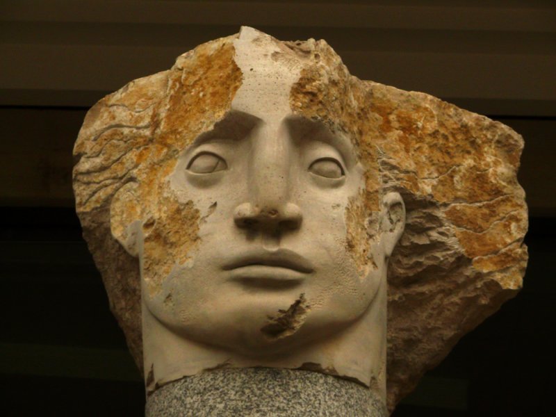 Head 1 web.jpg