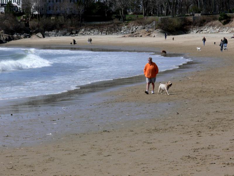 Orange on beach