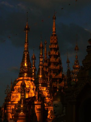 Swhedagon pagoda after dark.jpg