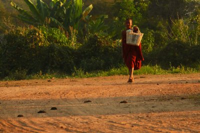 Novice in Bagan.jpg