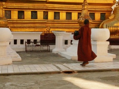 Monk Shwezigon Bagan.jpg