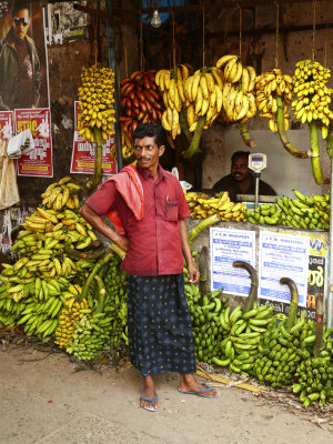 Banana seller Kollam.jpg