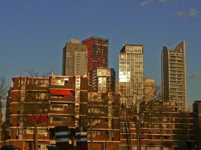 View over Rotterdam.jpg