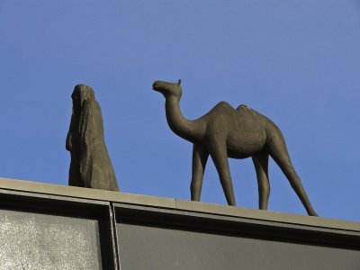 Camel on the roof.jpg
