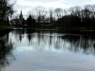 Park pond