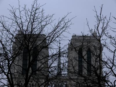 Tree view or Notre Dame