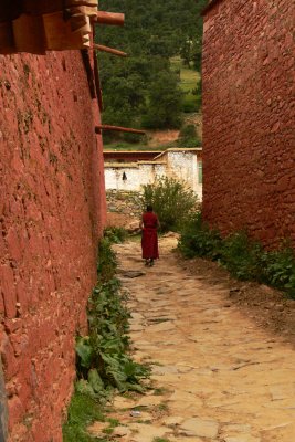 Lone monk in Reting