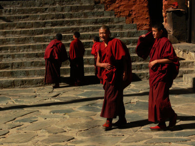 Adolescent monks