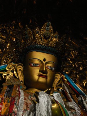 Drepung golden buddha