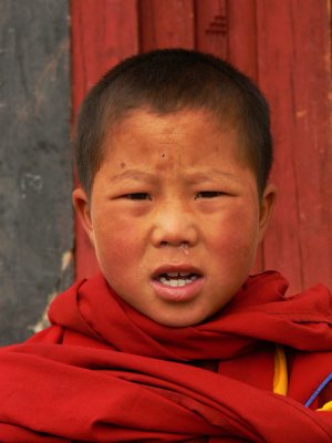 Portrait of a boy monk