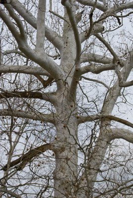 DSC_0191.jpg