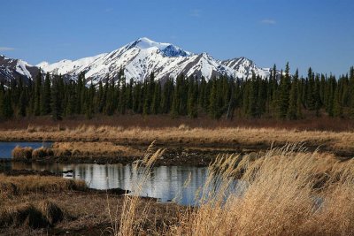 Alaskan Wilderness