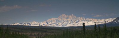 Denali - The Great One
