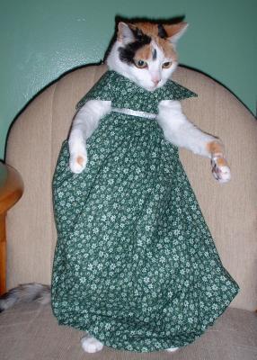 Smudge in the dress I made her