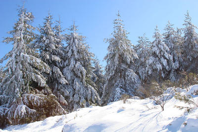 Snow - Serra da Estrela 4