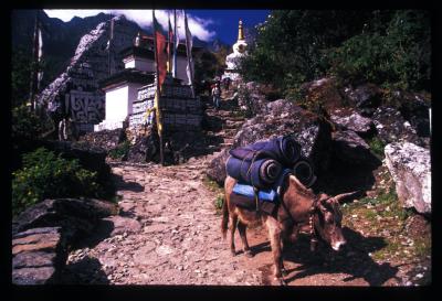 g3/87/425687/3/56700443.nepal26.jpg