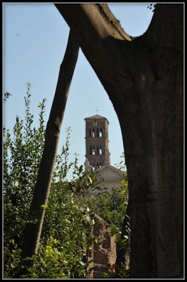 DSC_6508-160-2.jpg