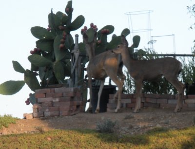 Deer Tableau avec Cactus
