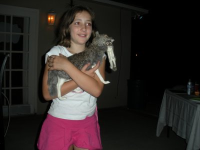 ShannonStuffDog1.JPG