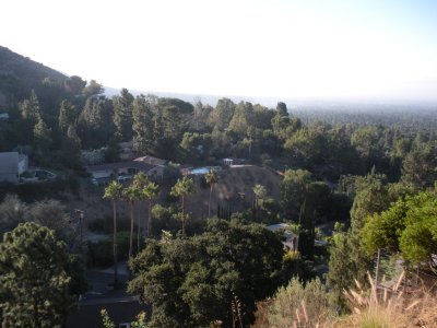 EastViewZaneGrey.JPG