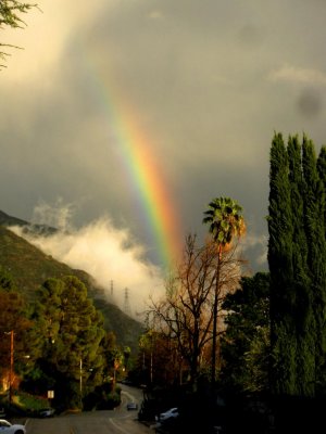 rainbowlomaalta1_2.jpg