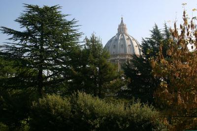 The dome of St. Peter's Basilica