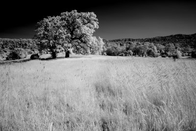 infrared_with_dp1