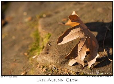 26Nov05 Late Autumn Glow - 7570