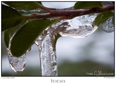 07Jan06 Icicles - 9651