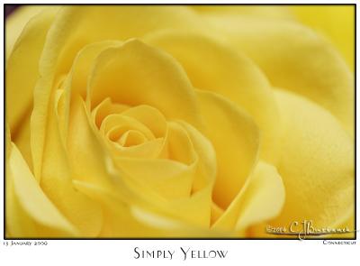 13Jan06 Simply Yellow - 9755