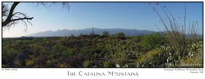 19Apr05 Catalina Mountains - 14-19
