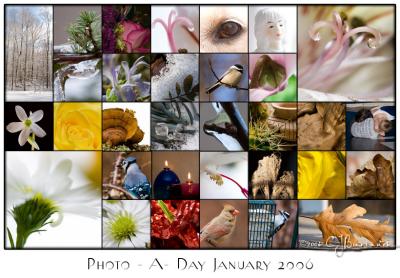 January 2006 Collage