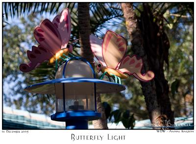 Butterfly Light - 7788 05Dec01