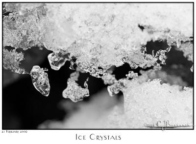 21Feb06 Ice Crystals - 10213