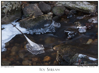28Feb06 Icy Stream - 10264